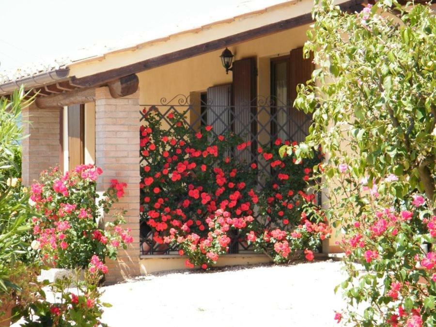 Agriturismo Casale Del Contadino Bolsena Zewnętrze zdjęcie