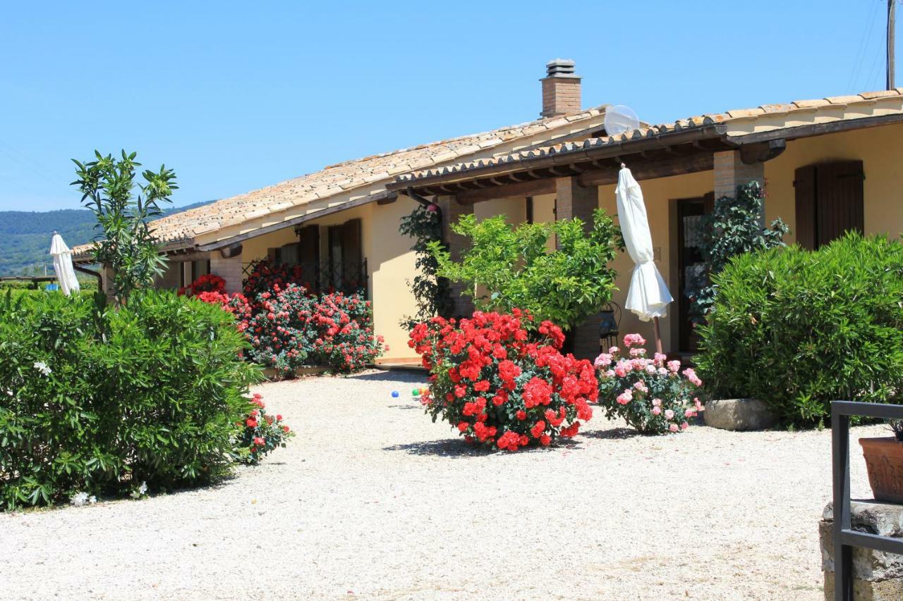 Agriturismo Casale Del Contadino Bolsena Zewnętrze zdjęcie