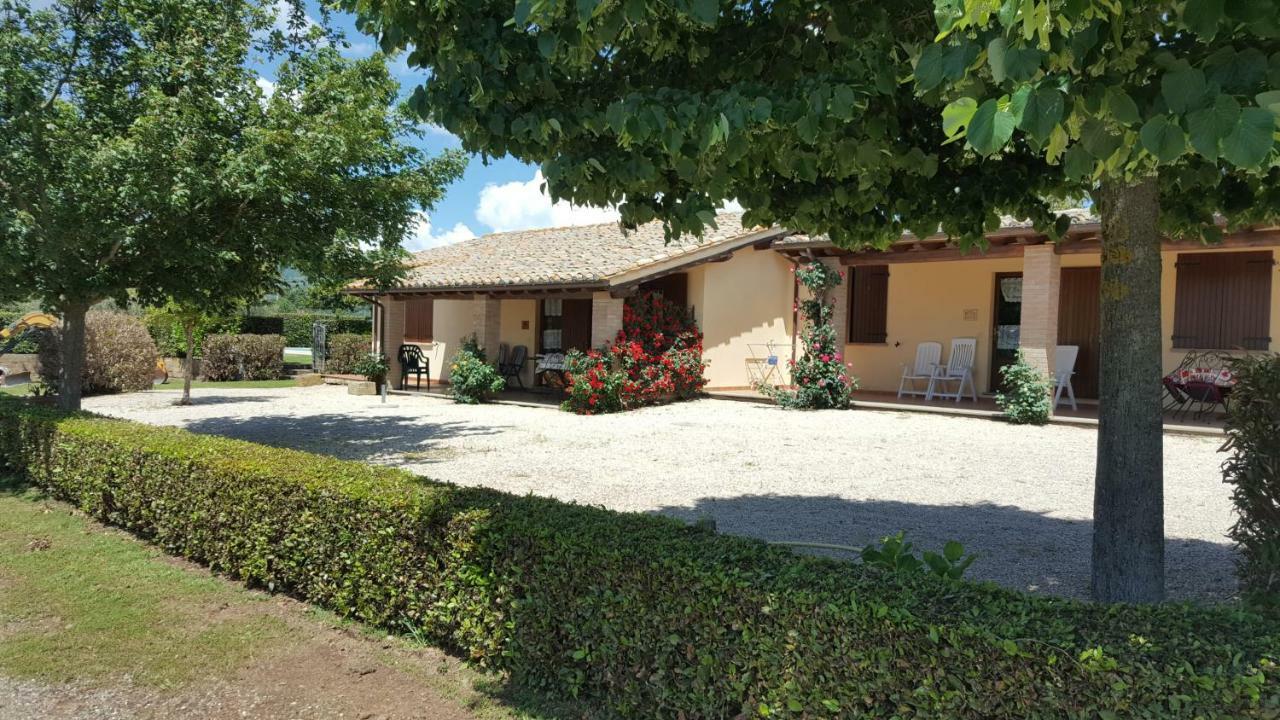 Agriturismo Casale Del Contadino Bolsena Zewnętrze zdjęcie