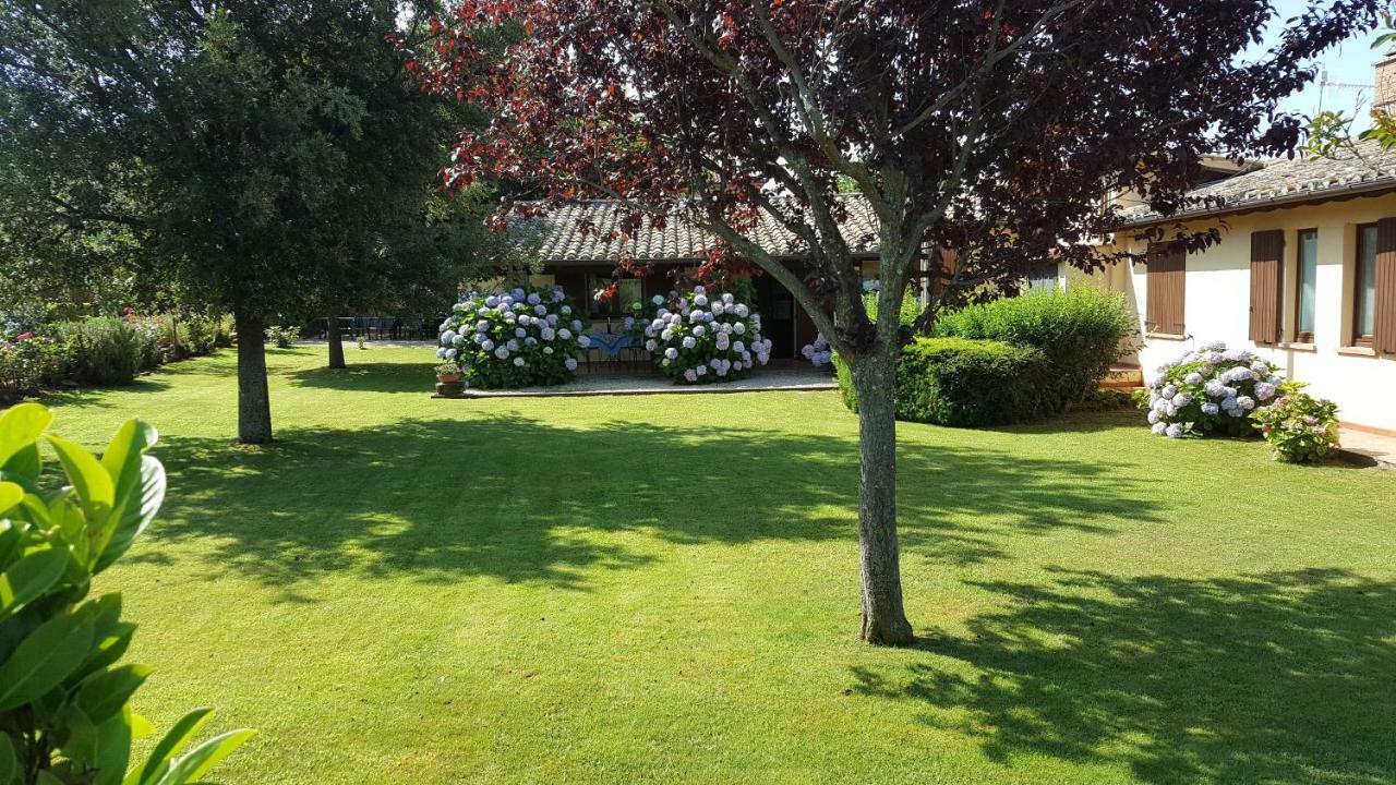 Agriturismo Casale Del Contadino Bolsena Zewnętrze zdjęcie