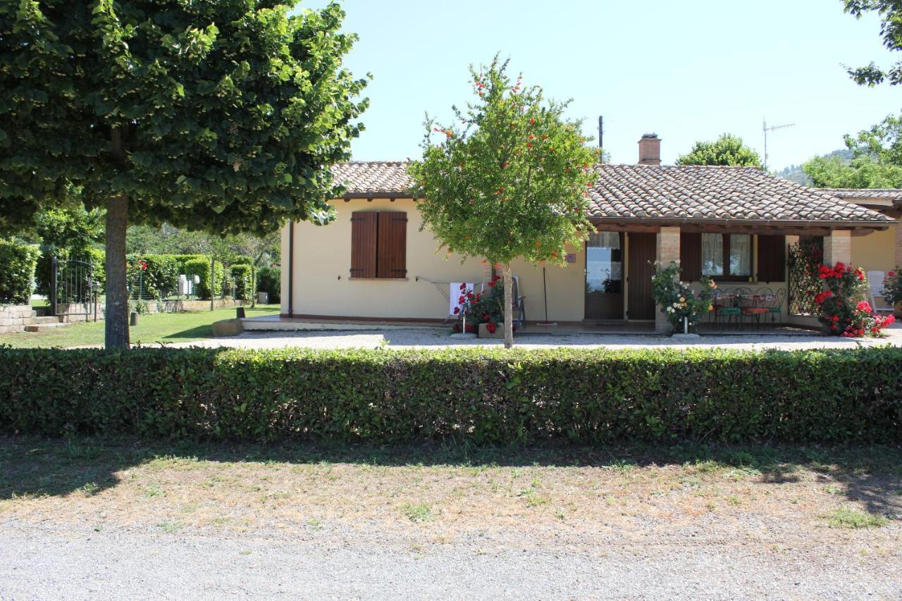 Agriturismo Casale Del Contadino Bolsena Zewnętrze zdjęcie
